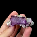 Natural Purple Cubic Fluorite Mineral Specimen,High Quality Specimen,YAO GANG XIAN,HUNAN,CHINA(55*20*20mm) - image 1