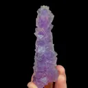 specimen video