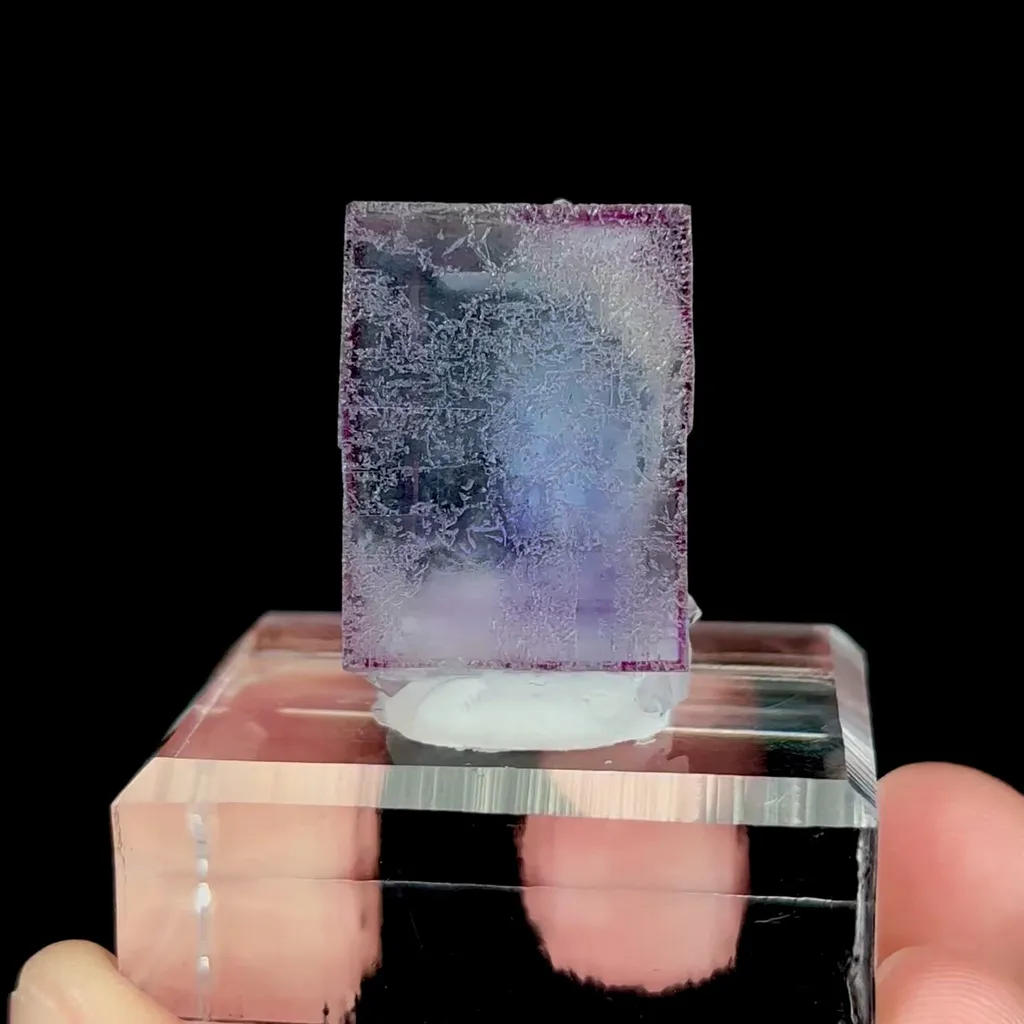 specimen video
