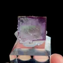 specimen video