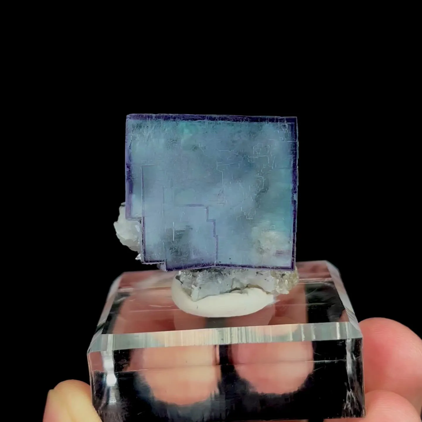 specimen video