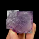 specimen video