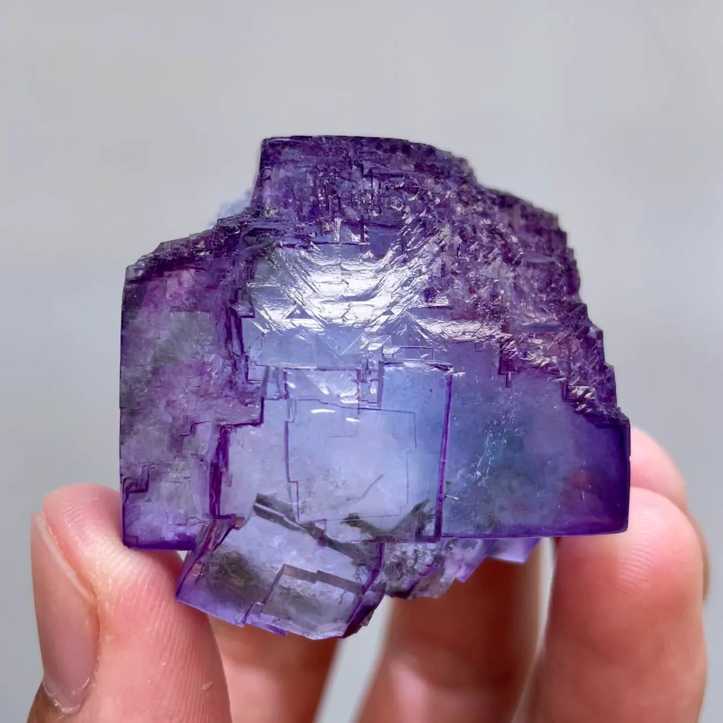 specimen video