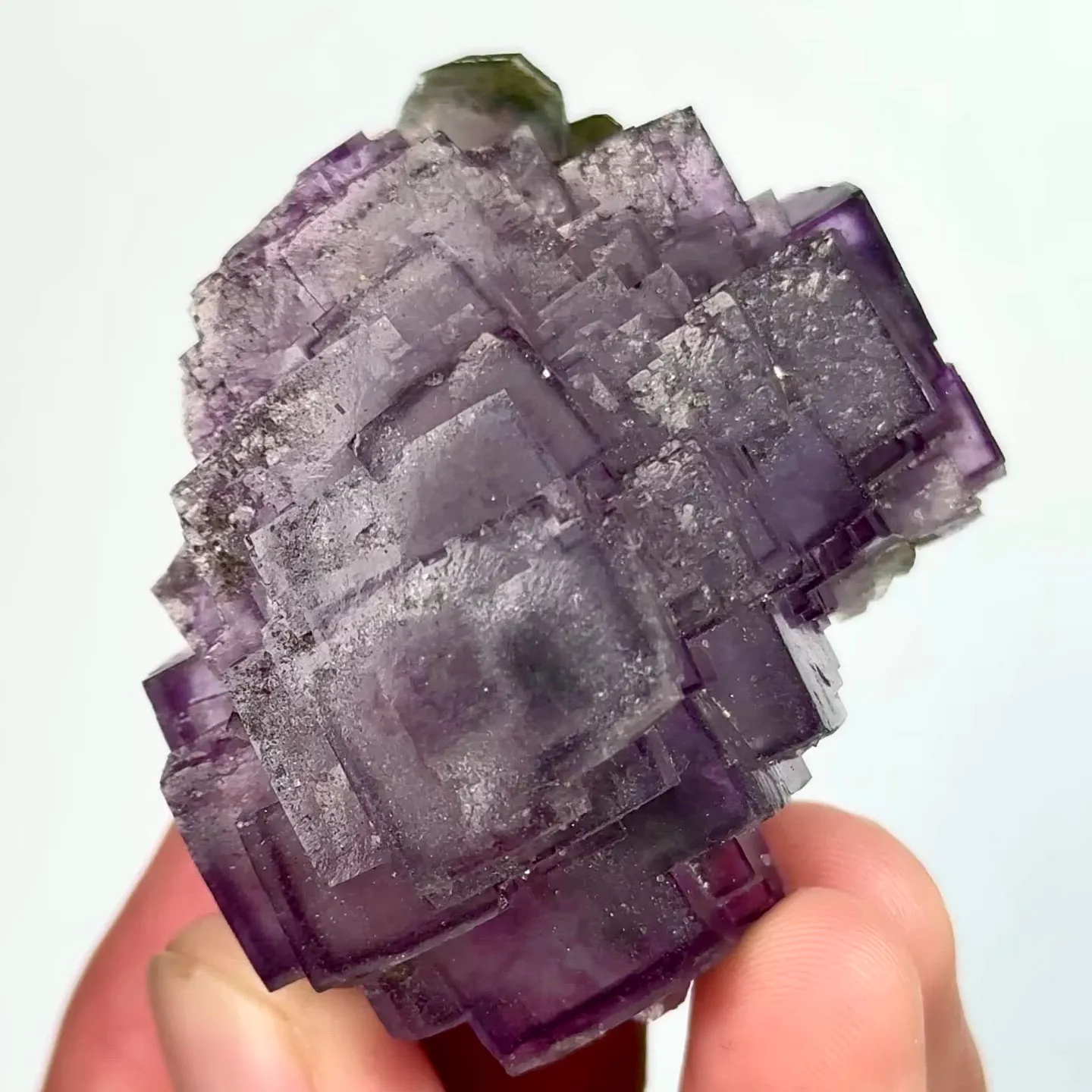specimen video
