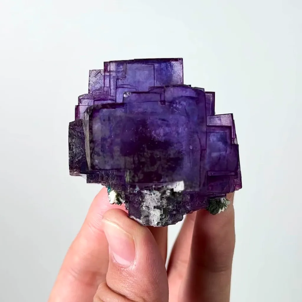 specimen video