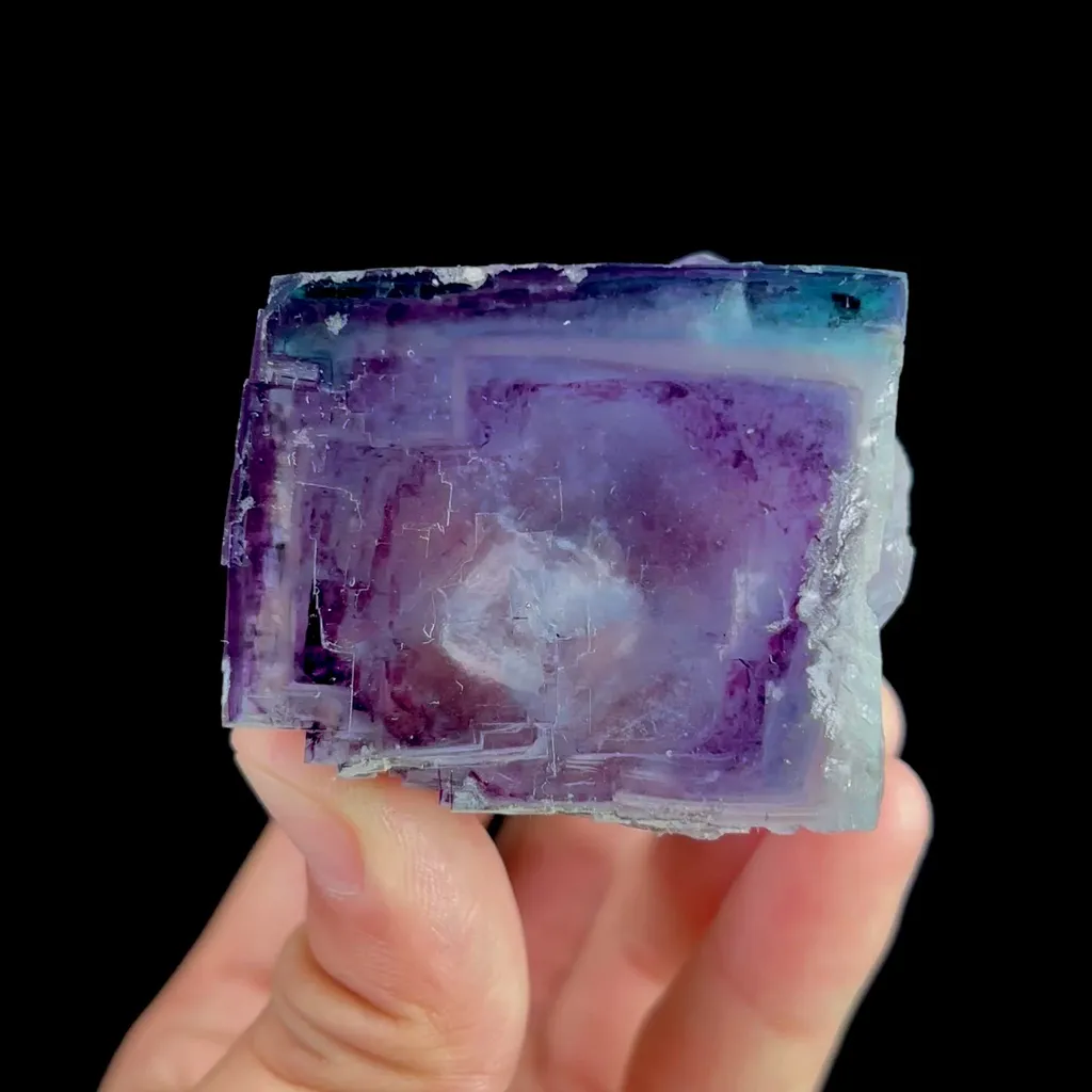 specimen video