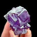 Natural Purple Cubic Fluorite, Mineral Specimen:Yaogangxian,Hunan (60*45*25MM) - image 5
