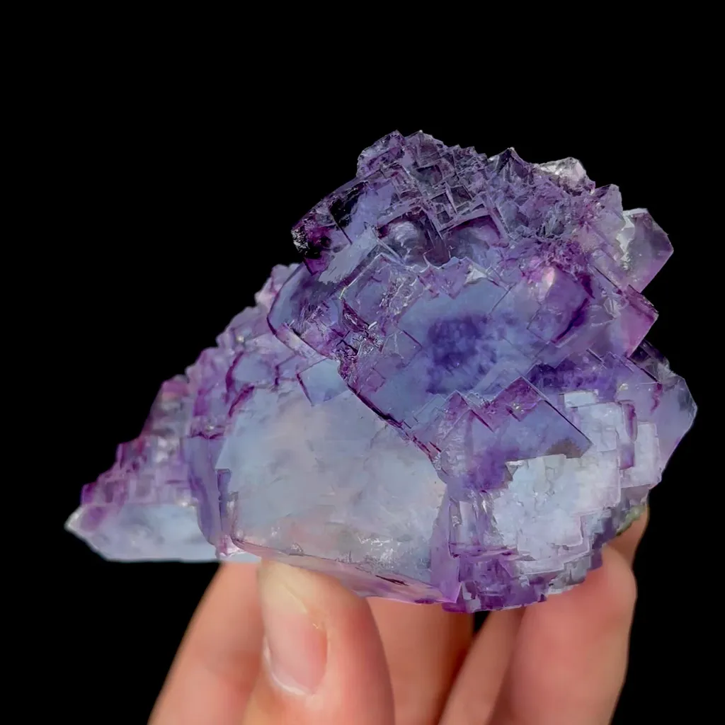 specimen video