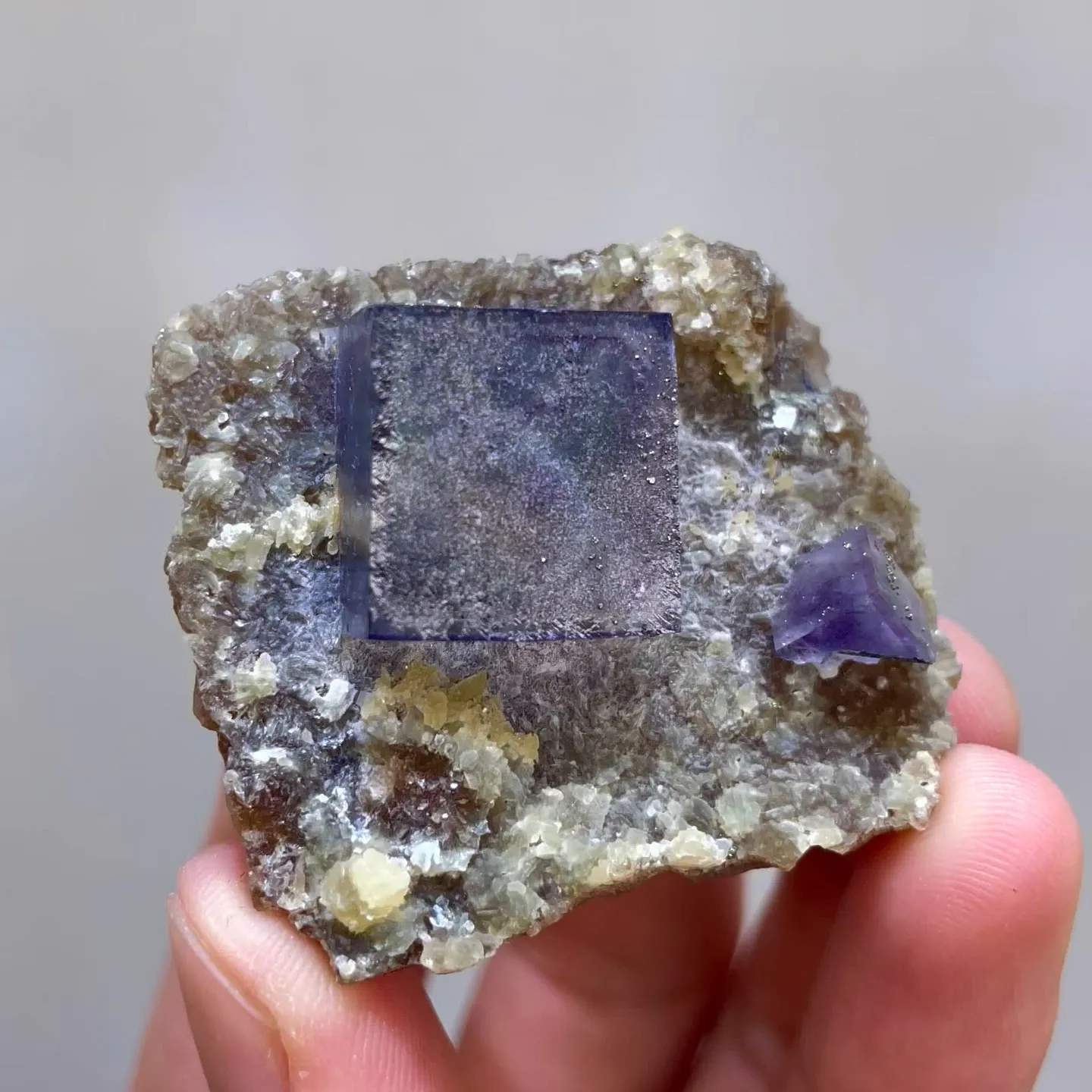 specimen video
