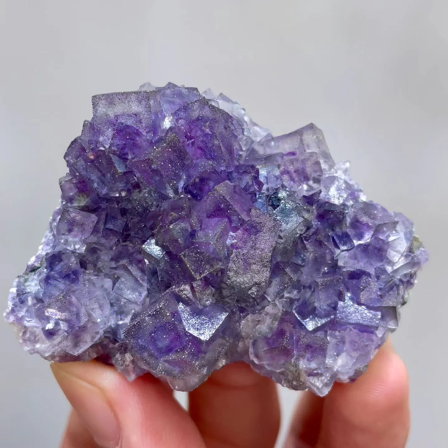 specimen video