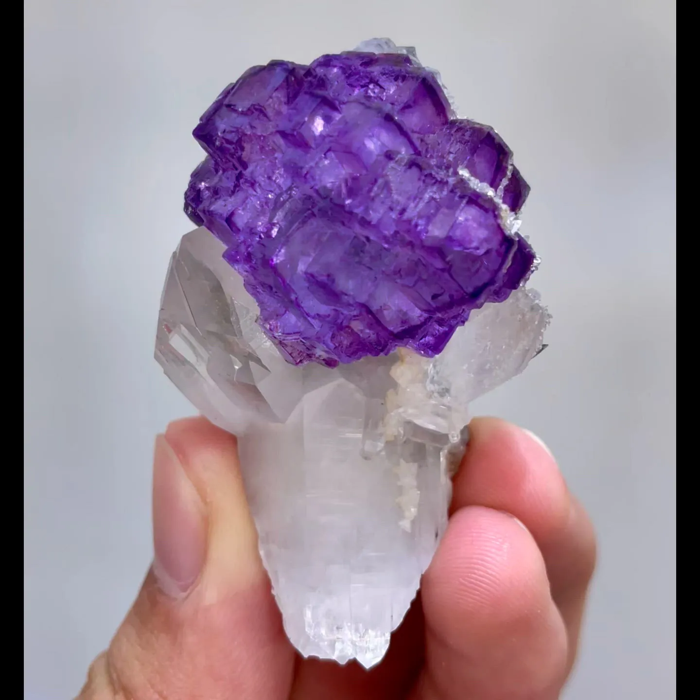 specimen video