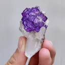Natural Purple Cubic Fluorite & Quartz, Mineral Specimen: Yaogangxian,Hunan (30*50*30mm) - image 7