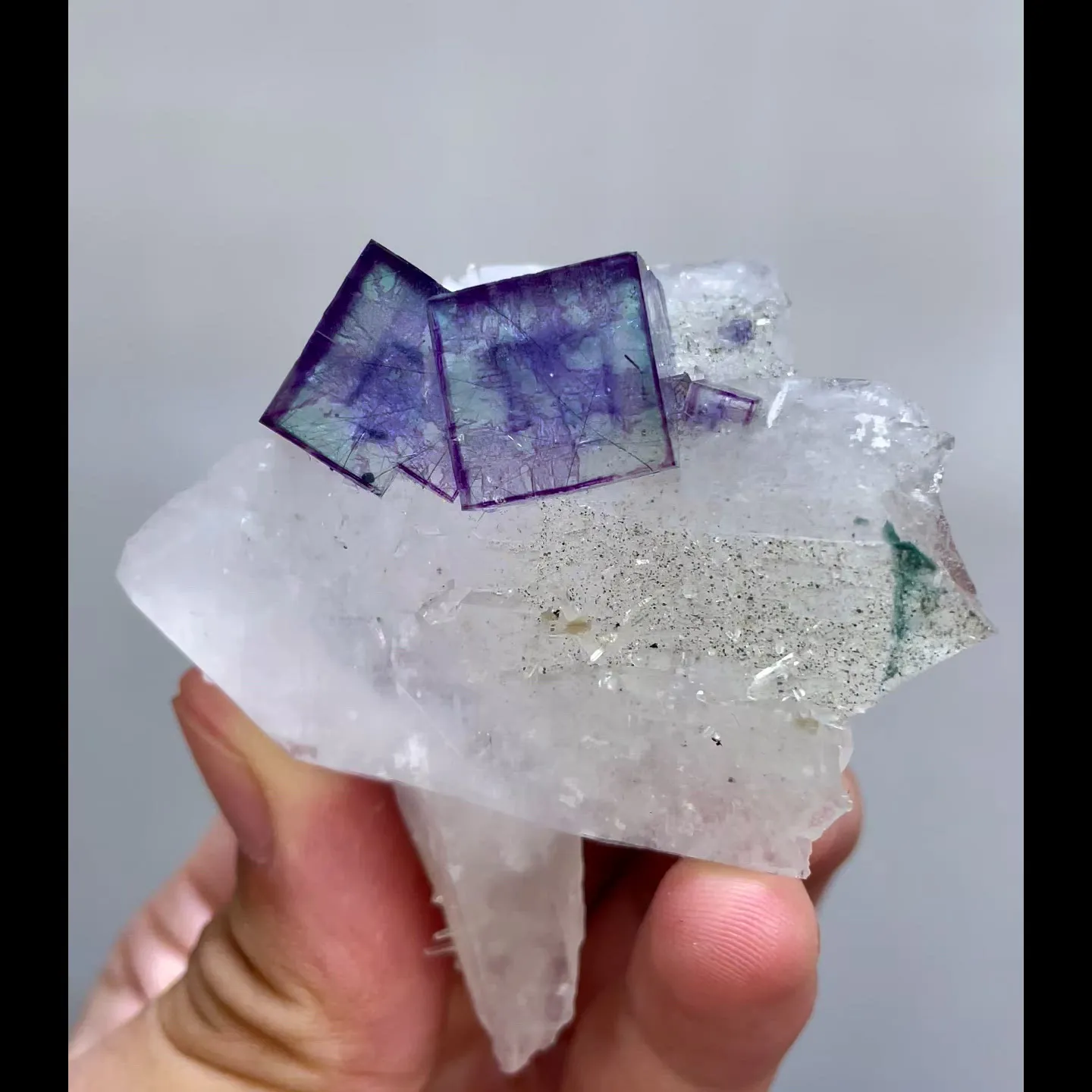 specimen video