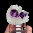 specimen video