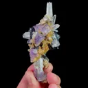 specimen video