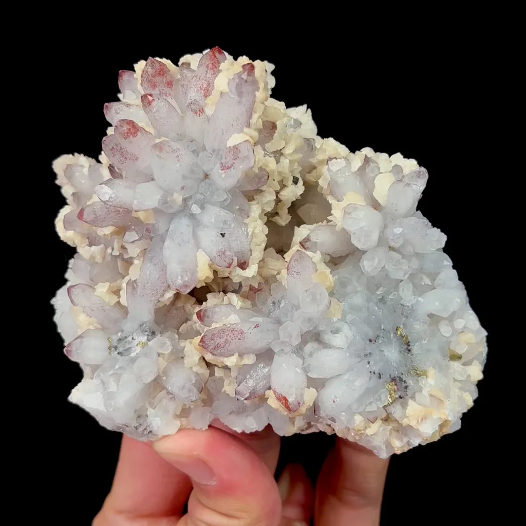 specimen video