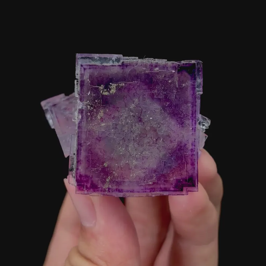 specimen video