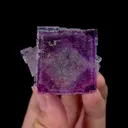 Natural Purple Cubic Phantom Fluorite Mineral Specimen,High Quality Specimen,YAO GANG XIAN,HUNAN,CHINA(50*37*28mm) - image 1