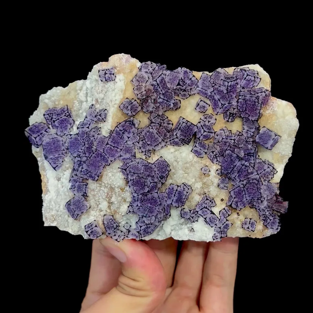 specimen video