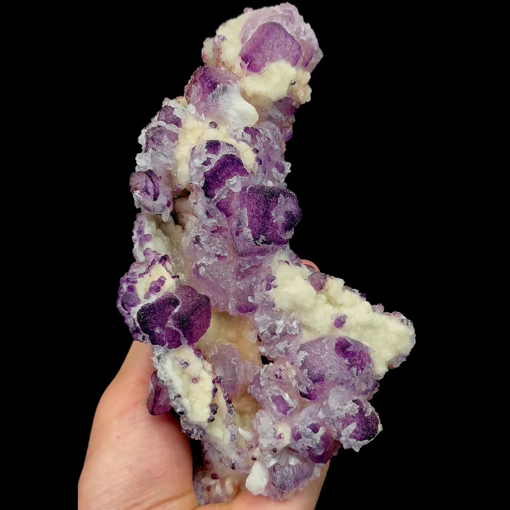 specimen video