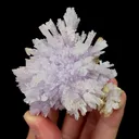 Natural Purple Floral Gypsum Mineral Specimen,High Quality Specimen,GUIZHOU,CHINA(70*60*30mm) - image 1