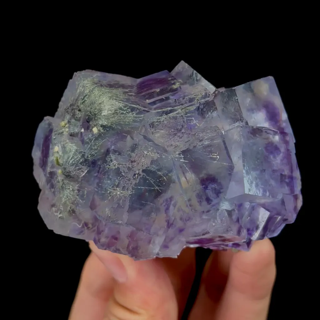 specimen video
