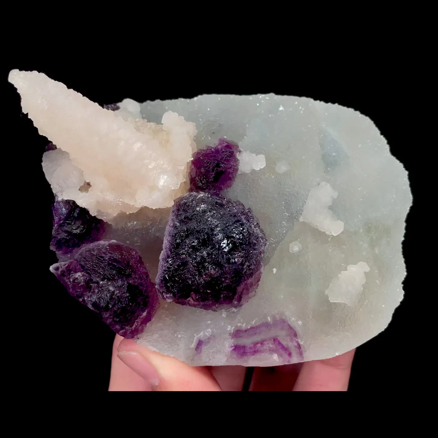 specimen video