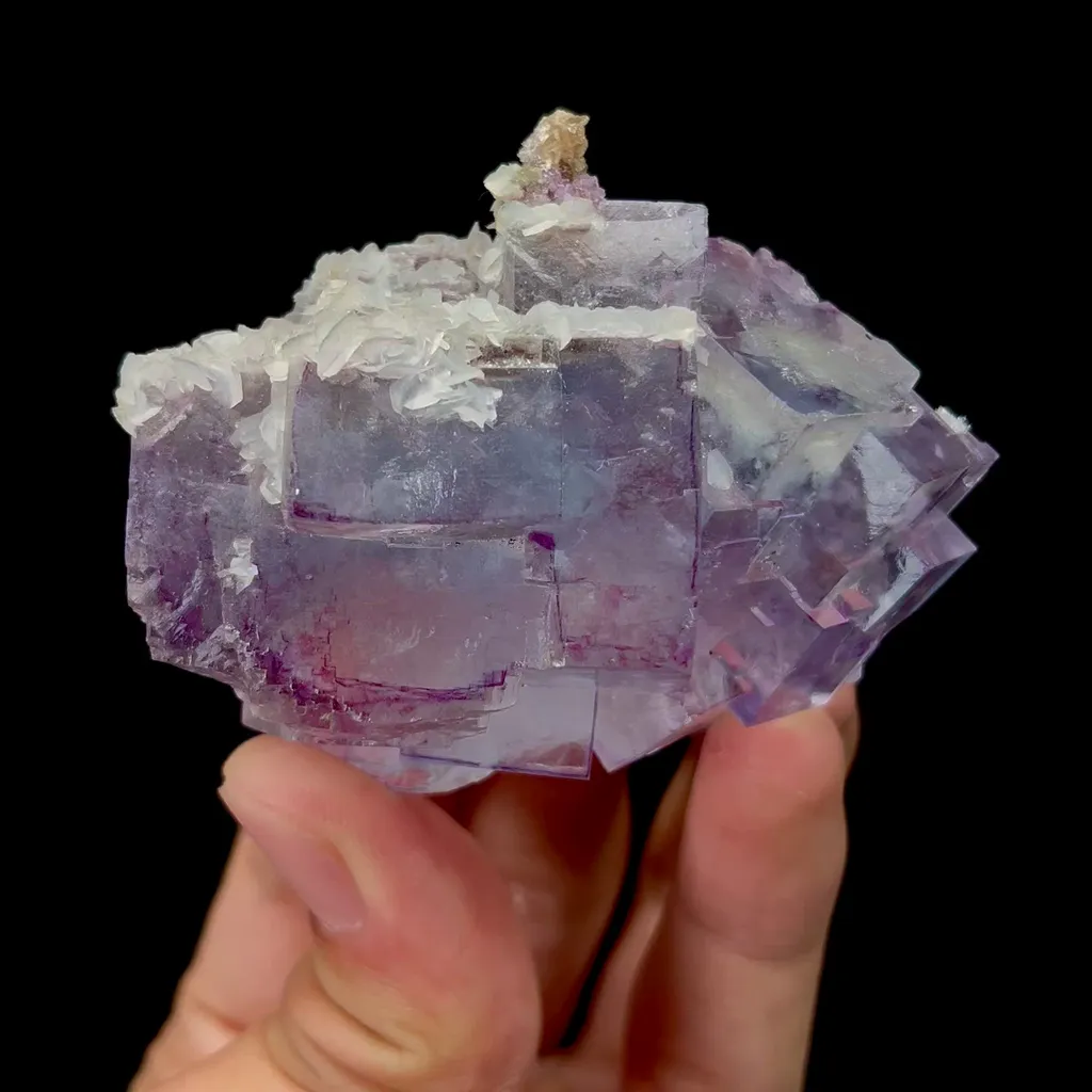 specimen video
