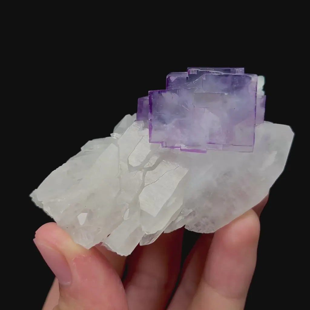 specimen video