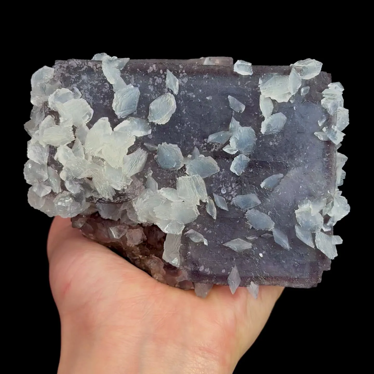 specimen video