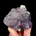 specimen video