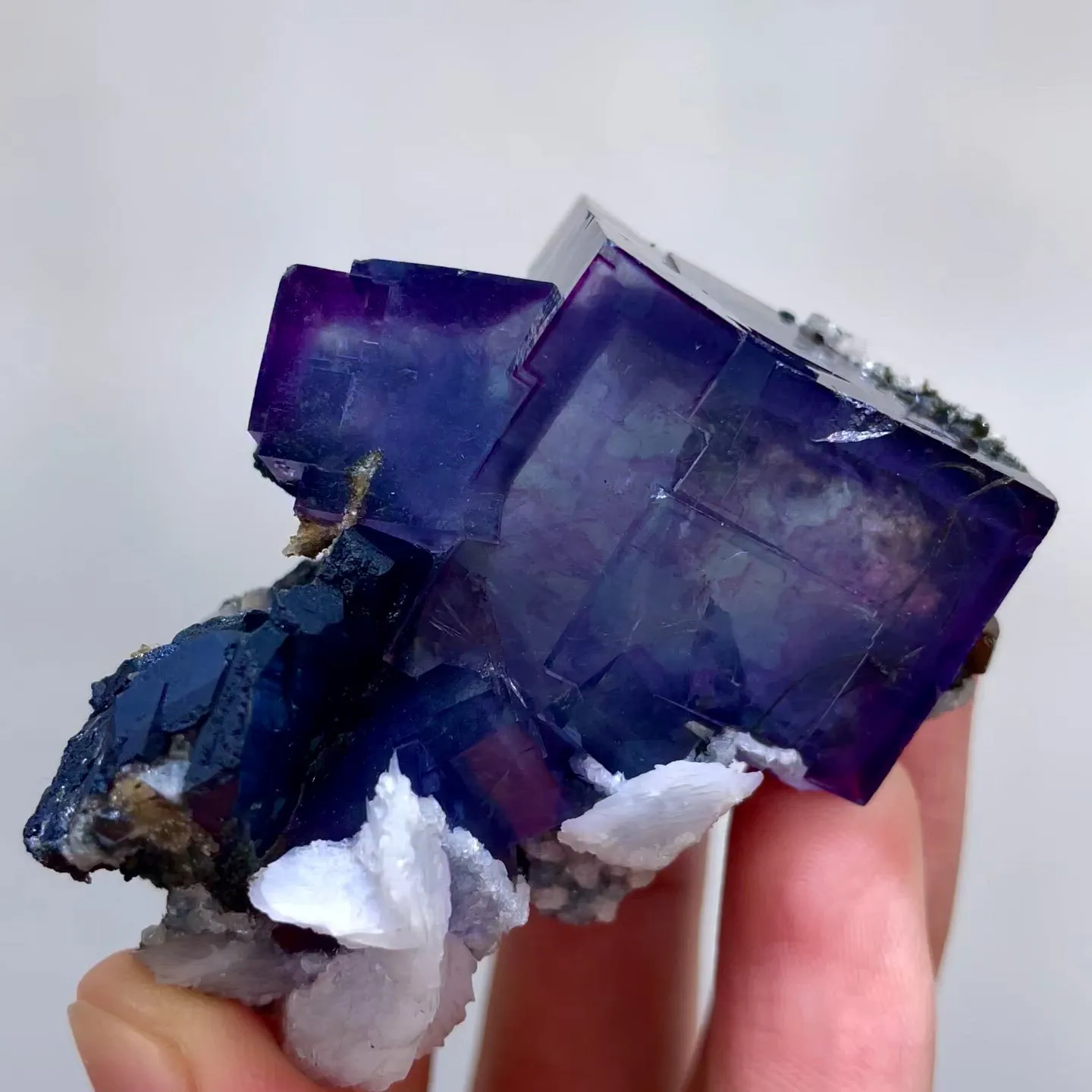 specimen video