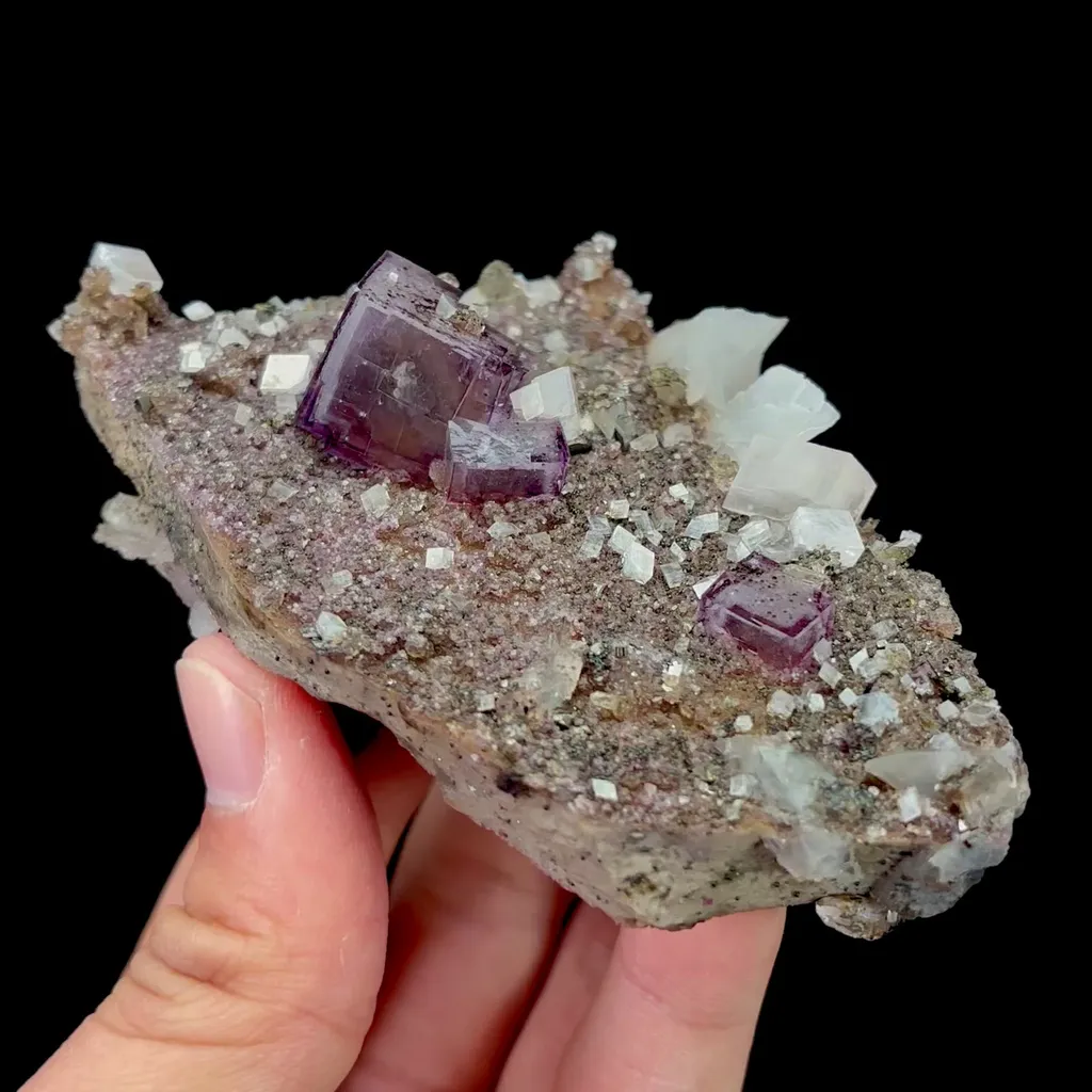 specimen video