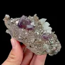 specimen video