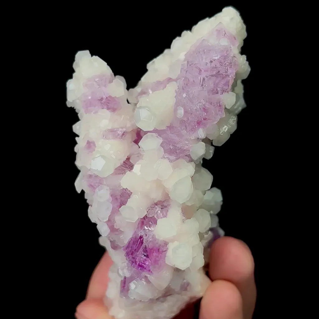 specimen video