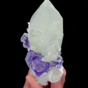 specimen video