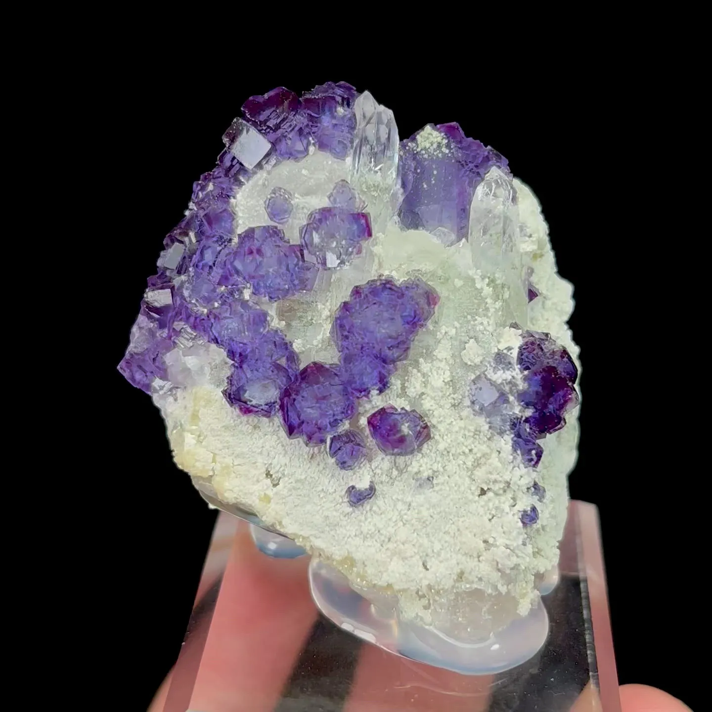 specimen video
