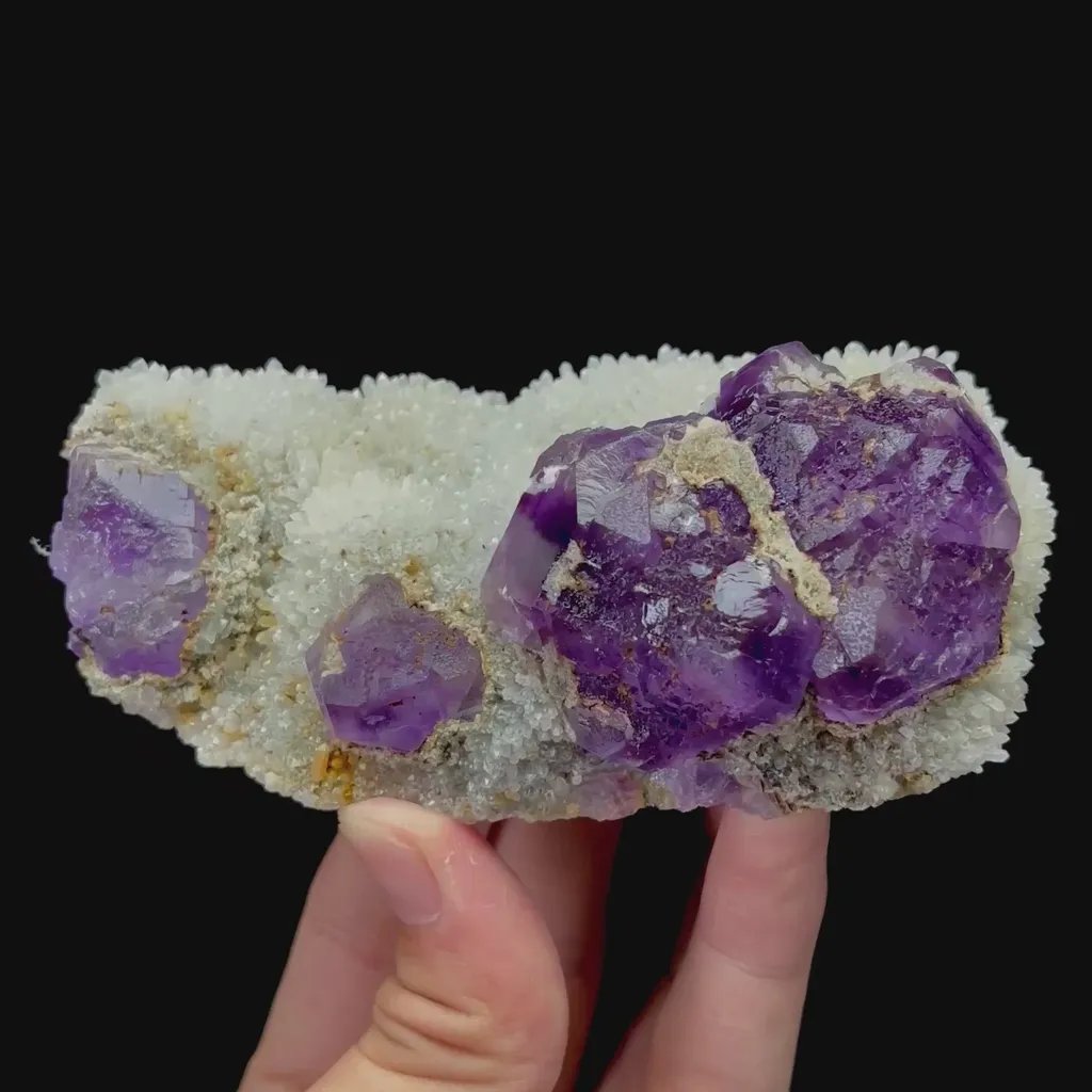 specimen video