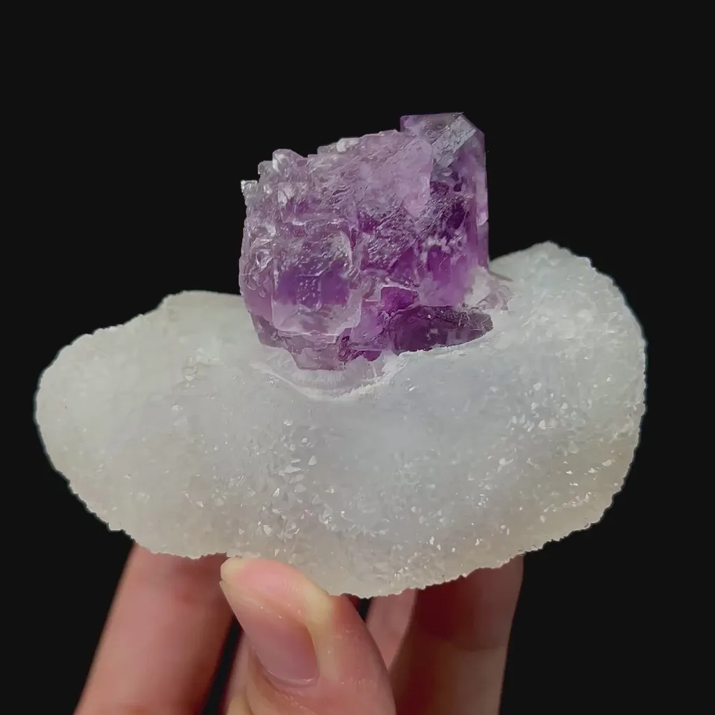 specimen video