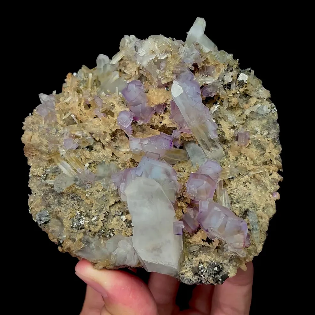 specimen video