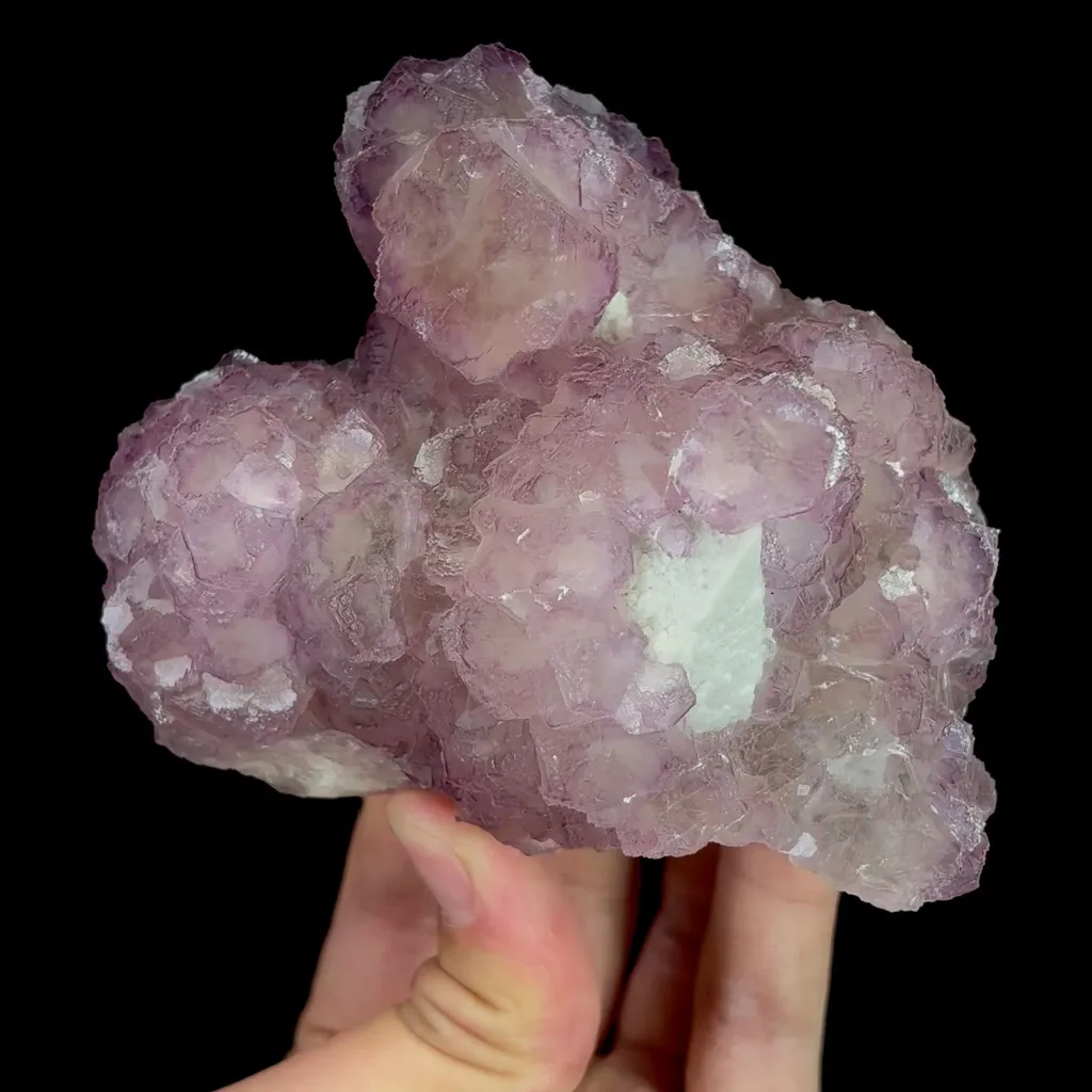 specimen video