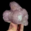 specimen video
