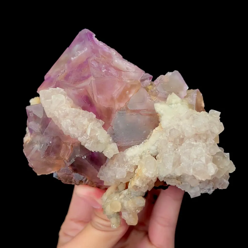 specimen video