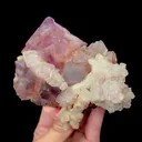 specimen video