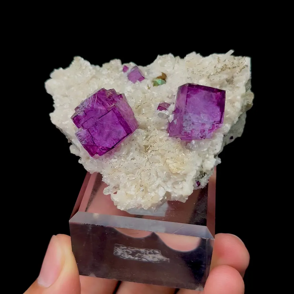 specimen video