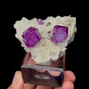 specimen video