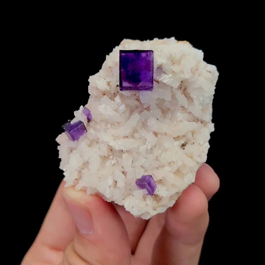 specimen video