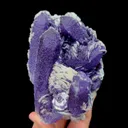 specimen video