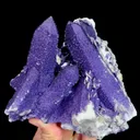 specimen video