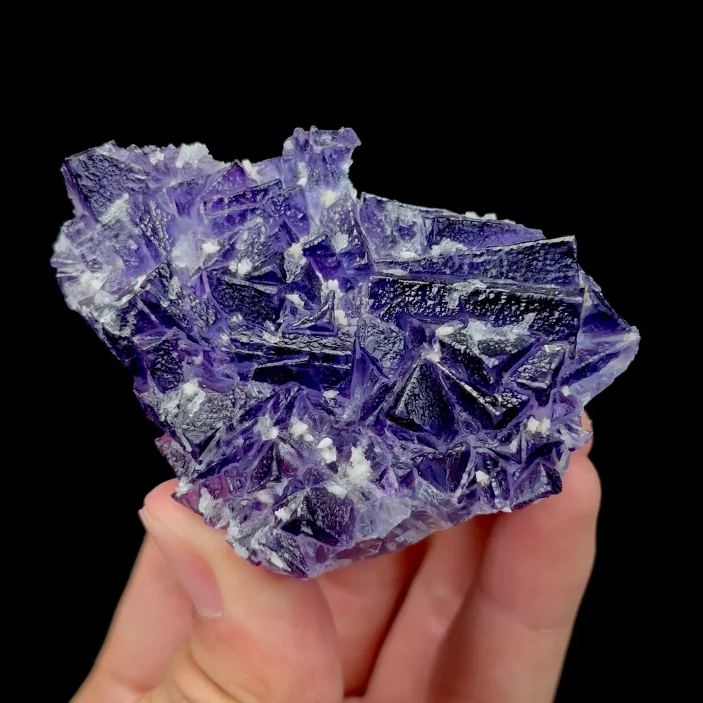 specimen video